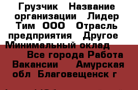 Грузчик › Название организации ­ Лидер Тим, ООО › Отрасль предприятия ­ Другое › Минимальный оклад ­ 14 000 - Все города Работа » Вакансии   . Амурская обл.,Благовещенск г.